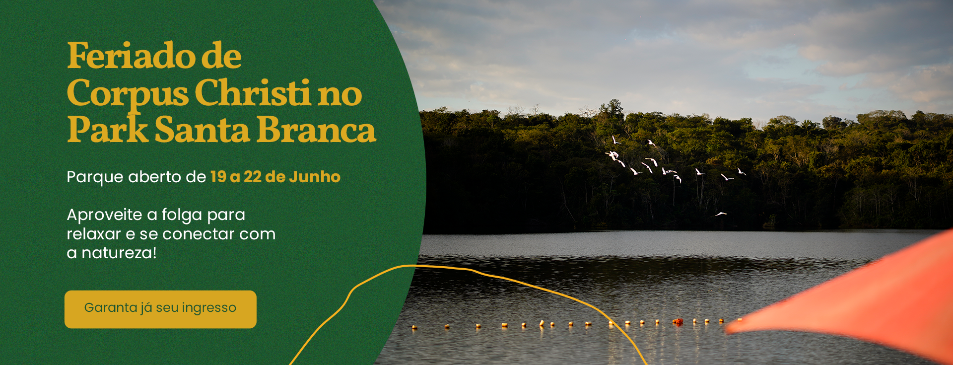 Primeiro Slide