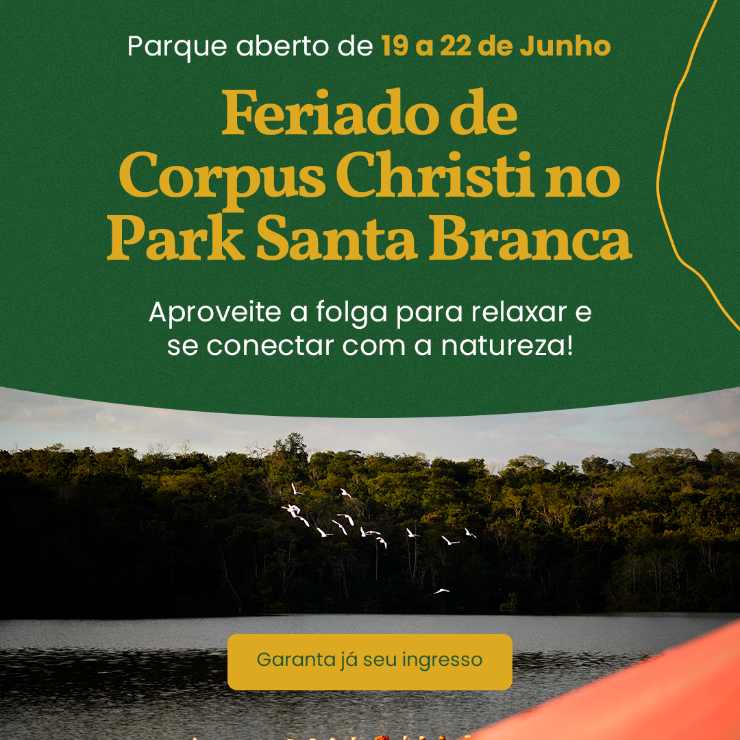 Primeiro Slide
